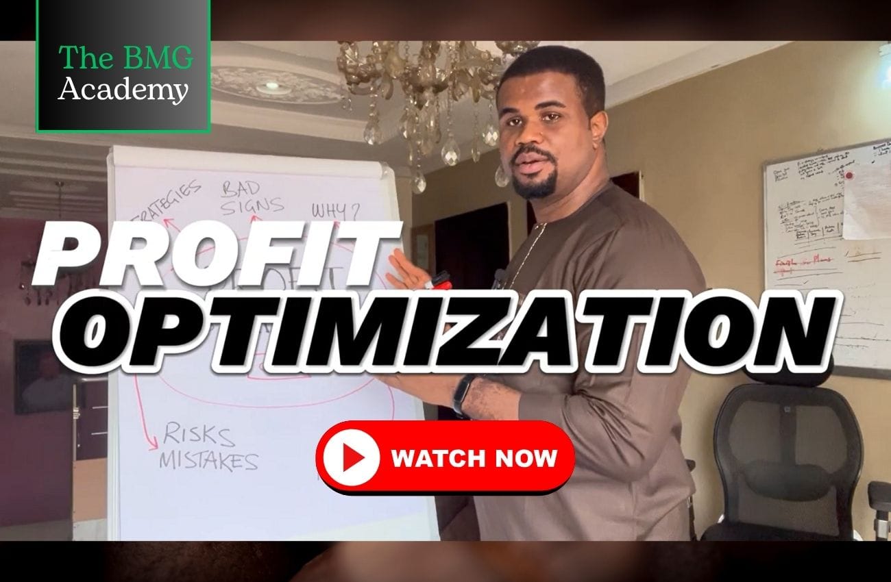 Profit Optimization: How To Boost Profits In Your Business (Course)